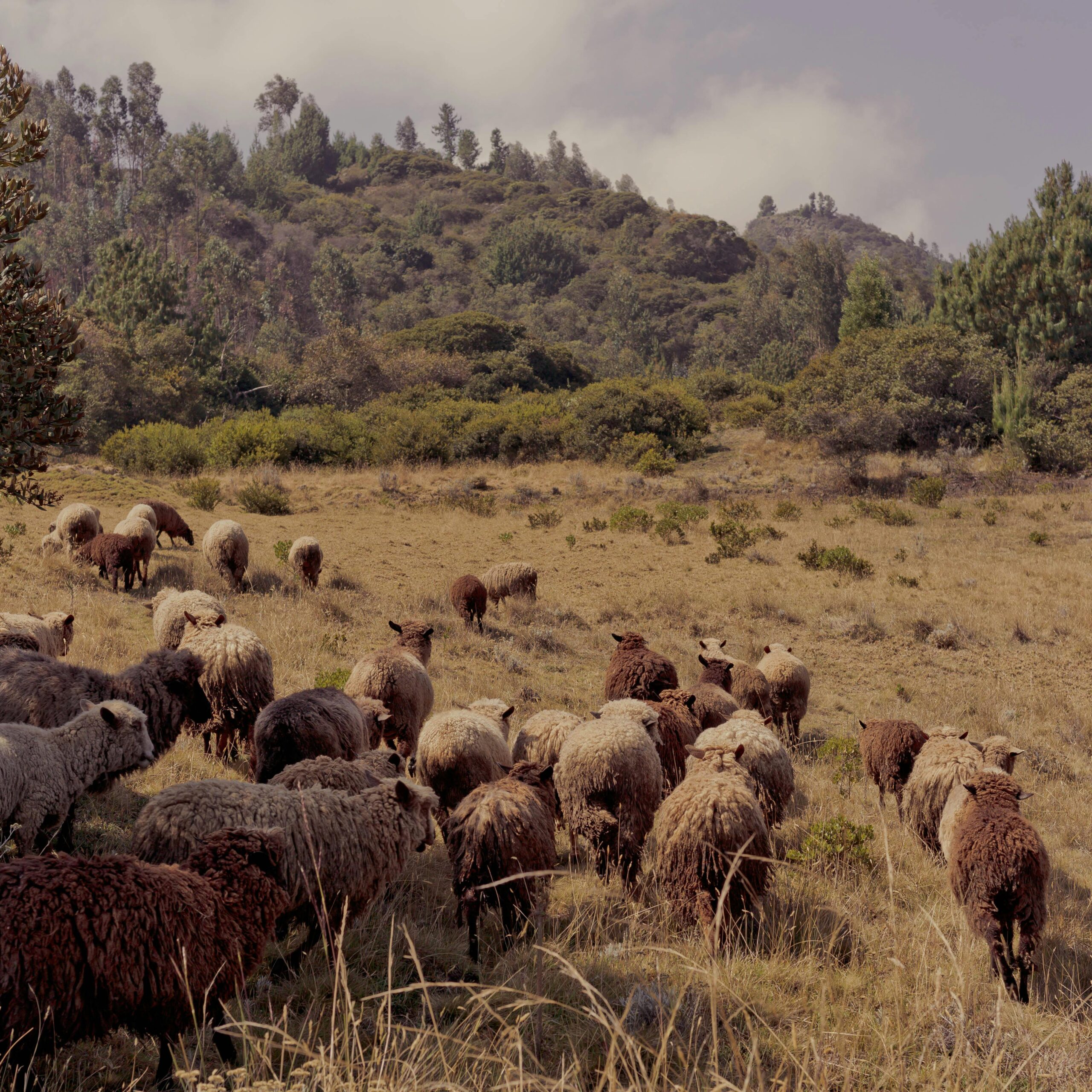 pexels-bananamade-3907995